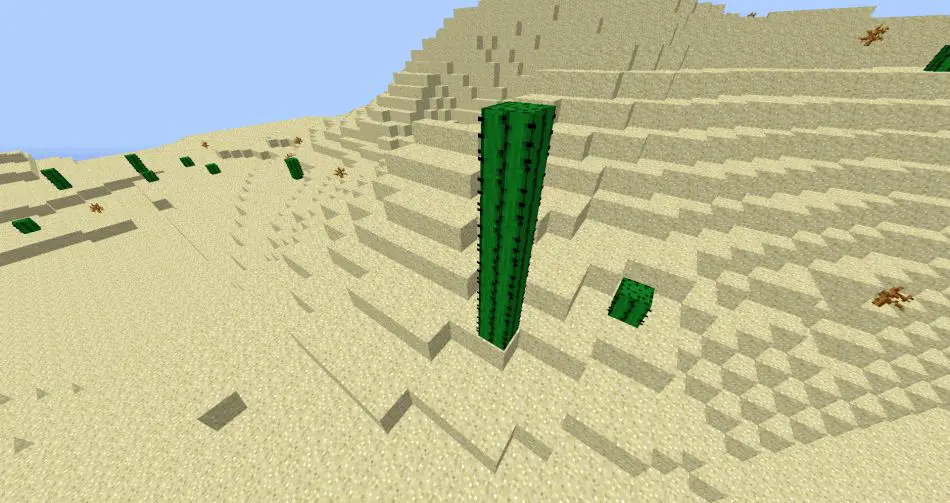 Tall Cactus Seed For 1.8
