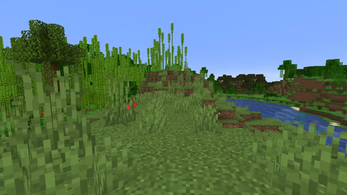 Bamboo + Swamp spawn