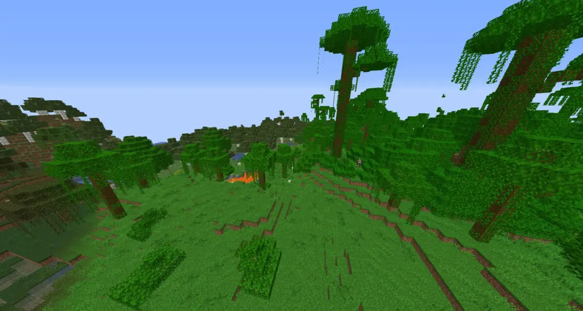 Wierd spawn and modified jungle edge
